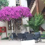 Hotel Puding 3*