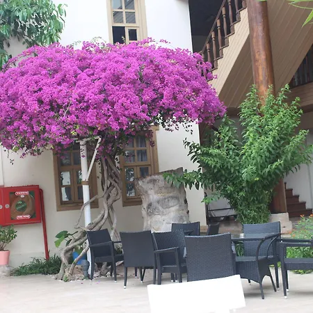 Hotell Puding 3*